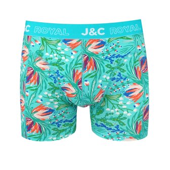 Heren Boxer print H252