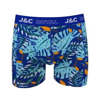 Heren Boxer print H251