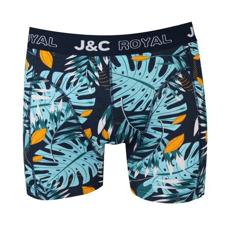 Heren Boxer print H251